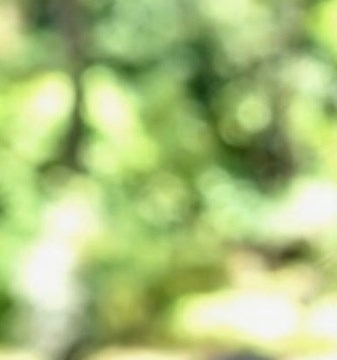 Baton Icon Larry Sullivan Obituary - Baton Rouge, LA