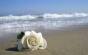 Obituary of Olive E. Branche