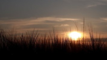 Obituary of Harold Laverne Davis