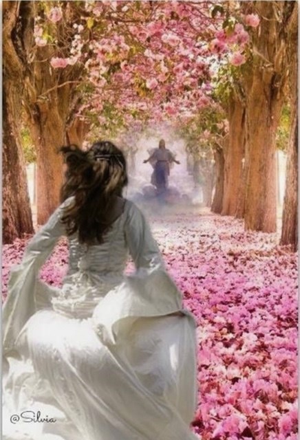 Obituary of Rosa Maria Andrade de Loya