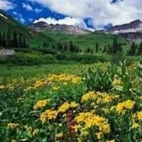 Obituary of Mary Lou Mitchell