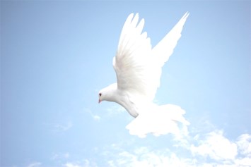 Obituary of Anita Claire Hood