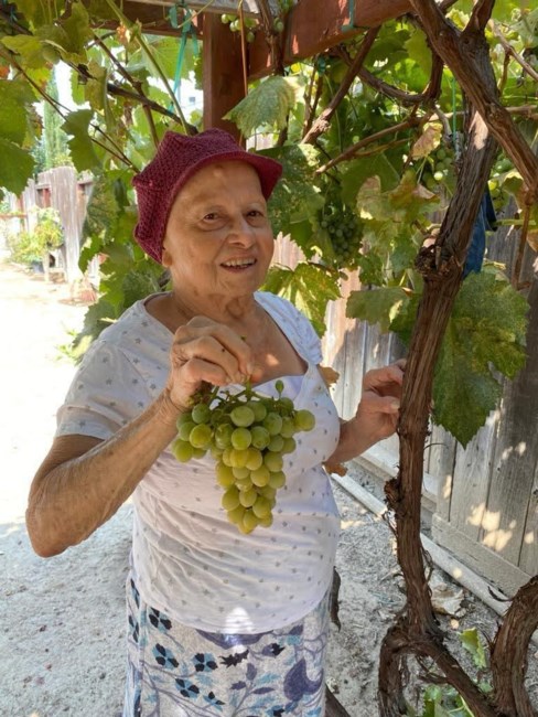 Obituary of Lizete da Cruz Guerra