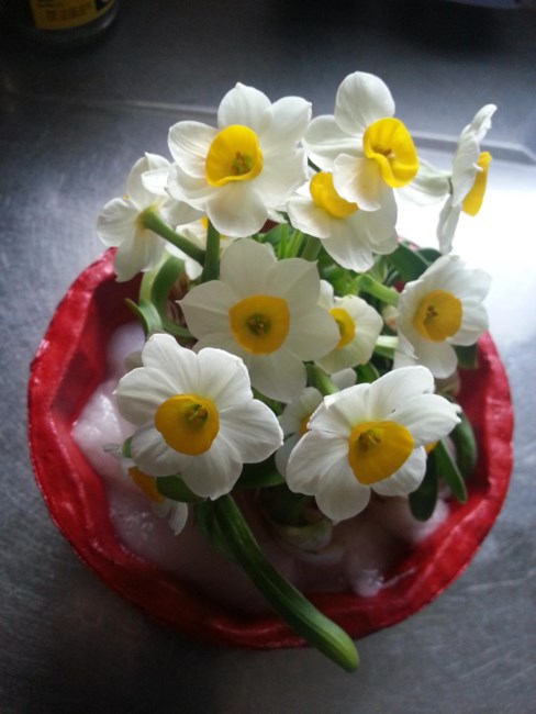 Obituary of Betty Kam Oi Chun Leong