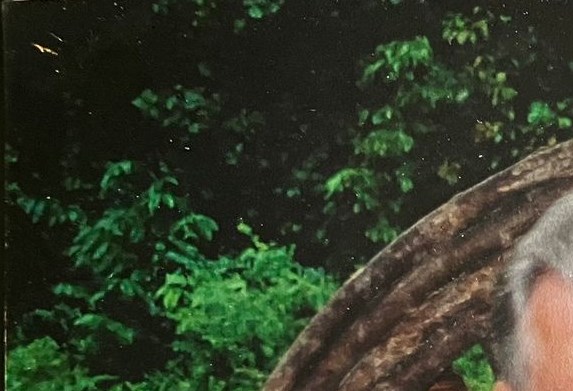 Donald Schmidt Obituary - St. Ann, MO