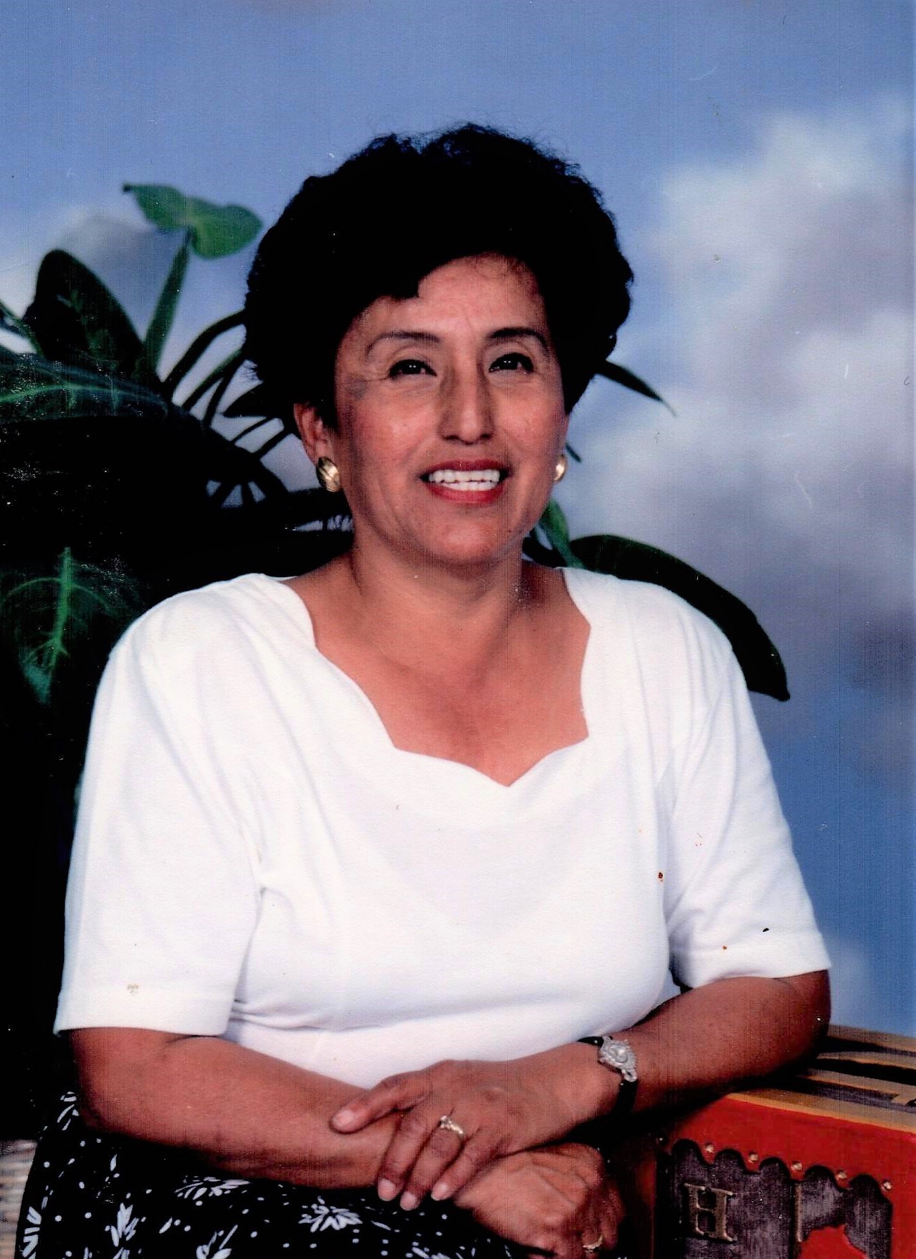 Obituary of Mary "Lily" Lillian Torres