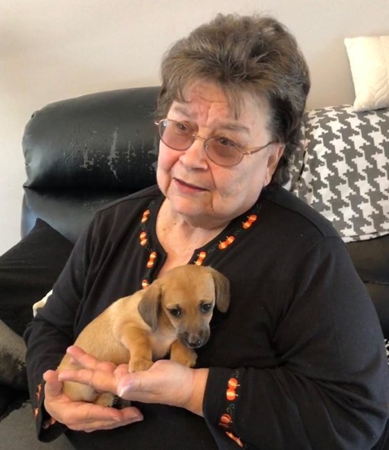 Obituary of Nina Carol Johnson