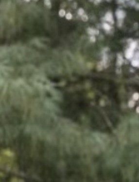 Marco Antonio Ramirez Fajardo Obituary Winston Salem, NC
