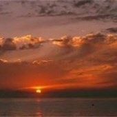 Obituary of Daniel Mosca