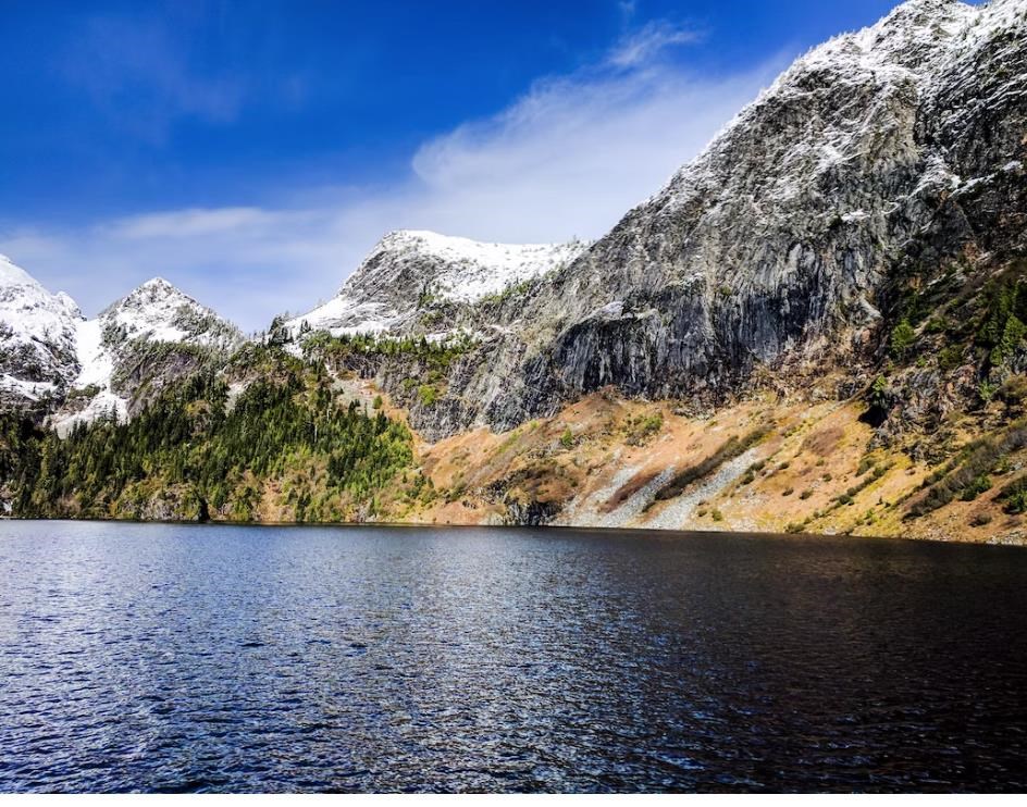 Obituary of George Stewart Ferris Jr.