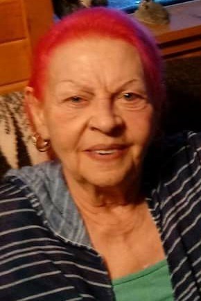 Obituary of Diana Elaine Gibson