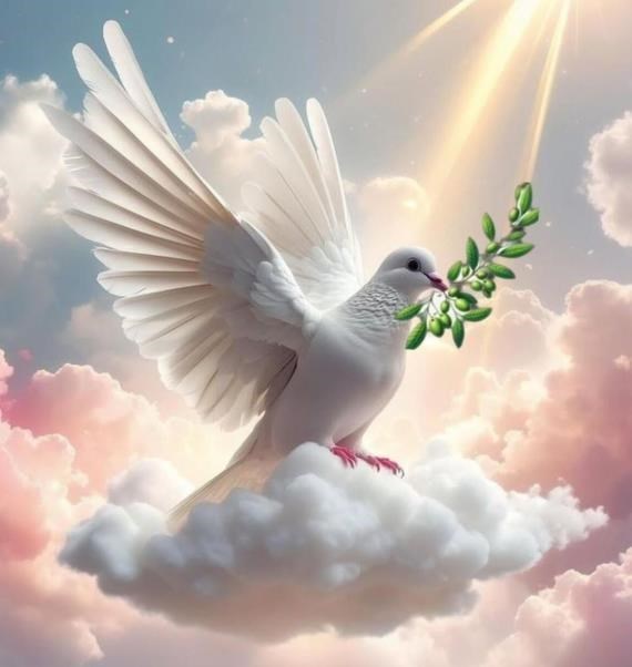 Obituary of Ana Lea Cancio