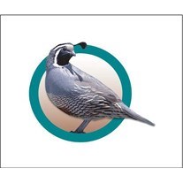 Avis de décès de Ricky Fletcher