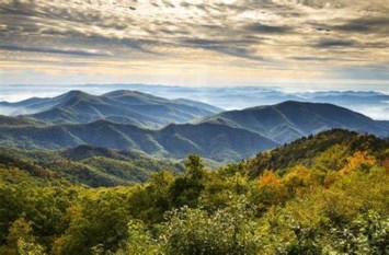 Obituary of Denise Renee Lawson