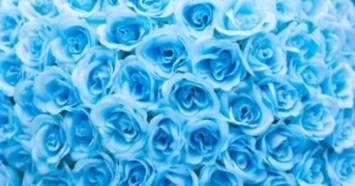 Obituary of Leonard Carl Thompson