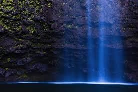 Obituary of Jane Wright Pugh