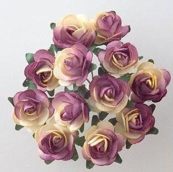 Obituary of Jacqueline Rodriguez