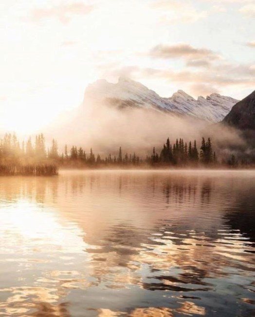 Obituary of Ronnie Bryan HALYK