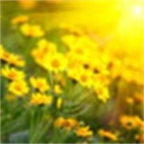 Obituary of Nancy Ann Knisley