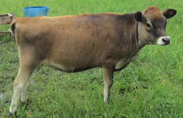 Obituary of Harold D. Ranney