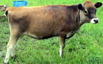 Obituary of Harold D. Ranney