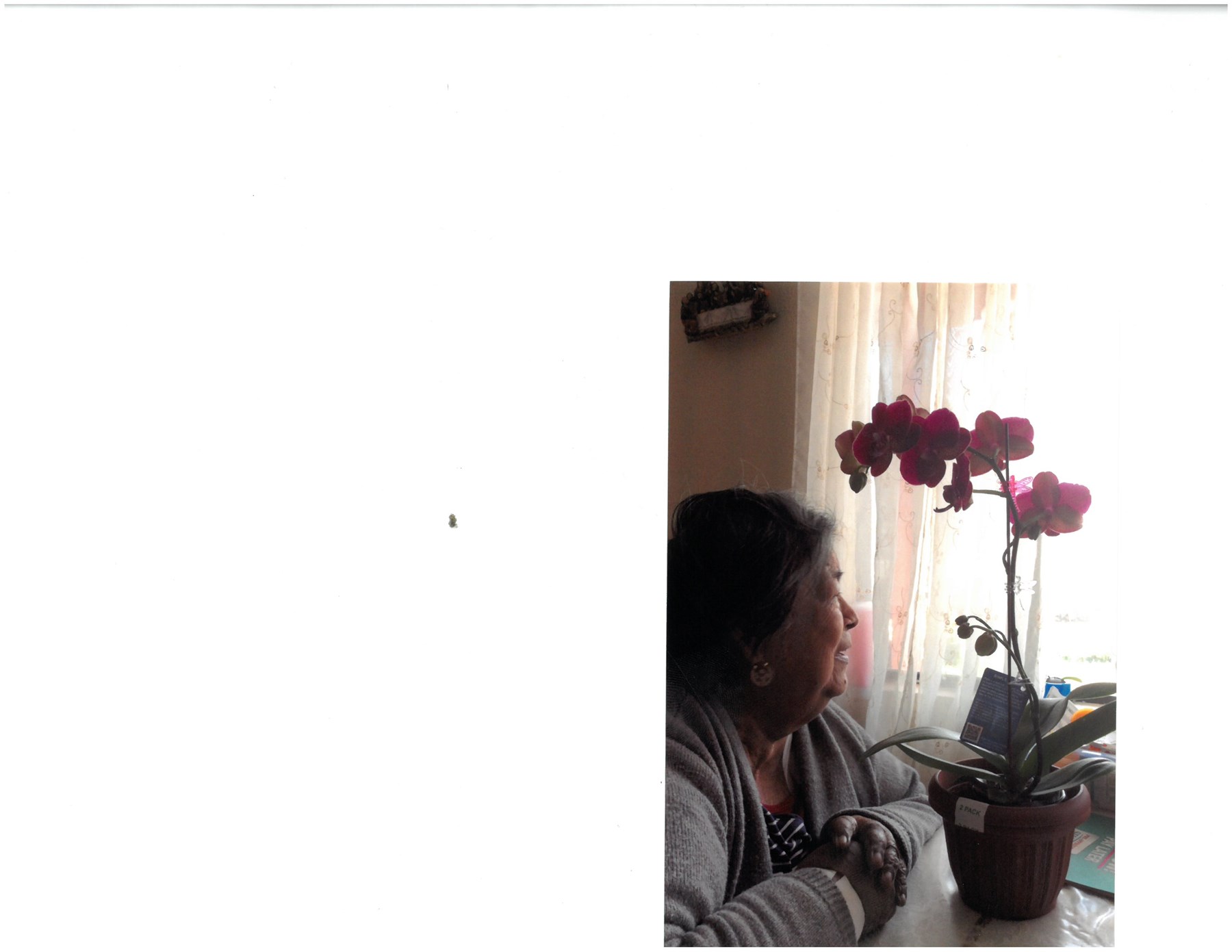 Obituary of Teresa Alonso