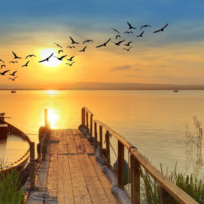 Avis de décès de Fernando Rodriguez