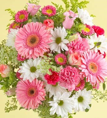 Obituary of Jean Abbott