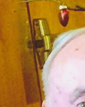 Robert Lee Barth Obituary Davenport, IA