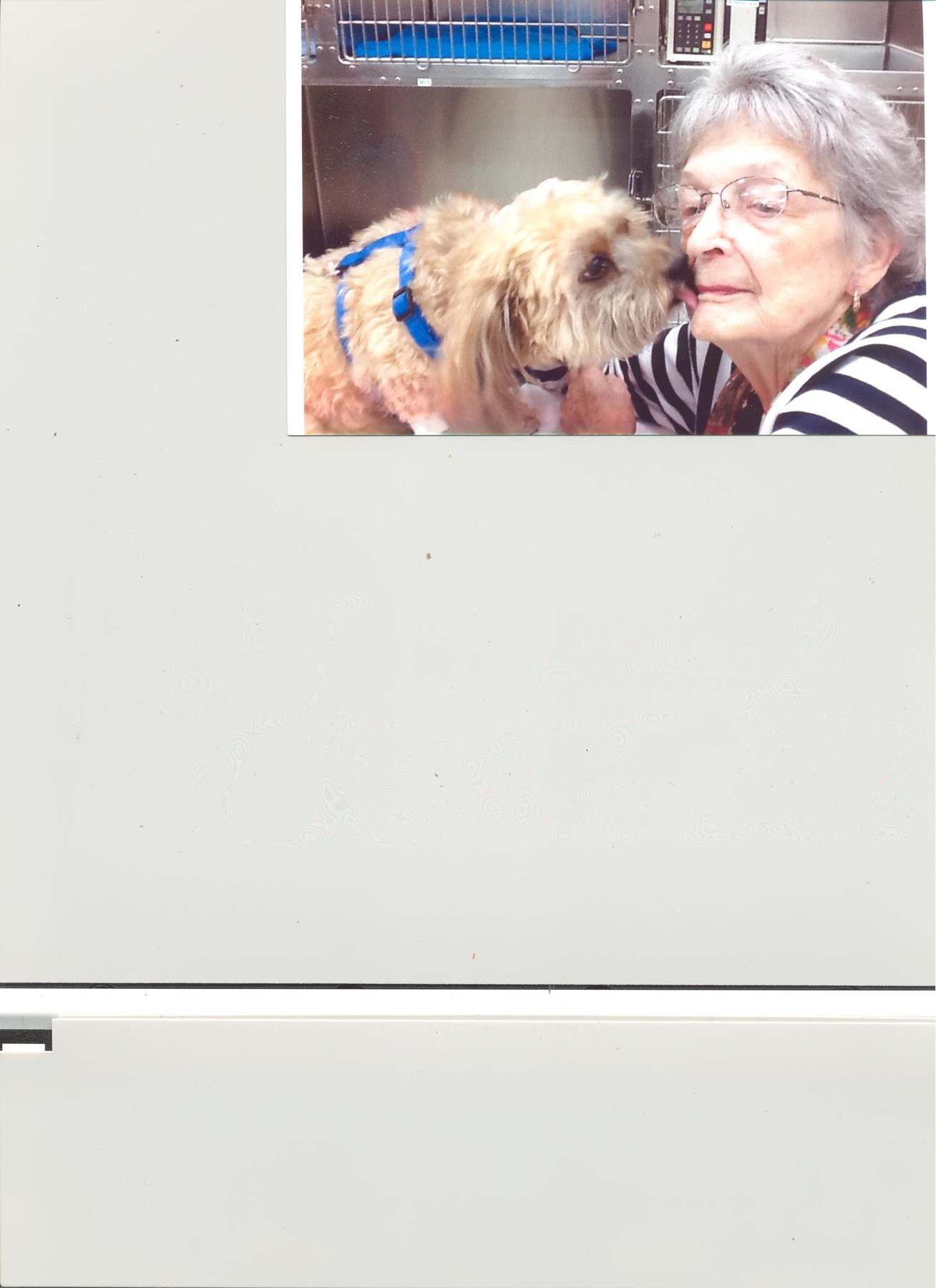 Obituary of Rose C. Ciulla