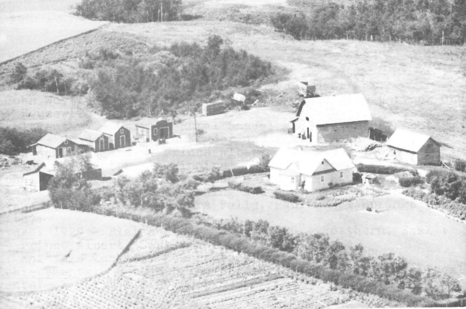 Obituary of Wasyl Dido J Charko