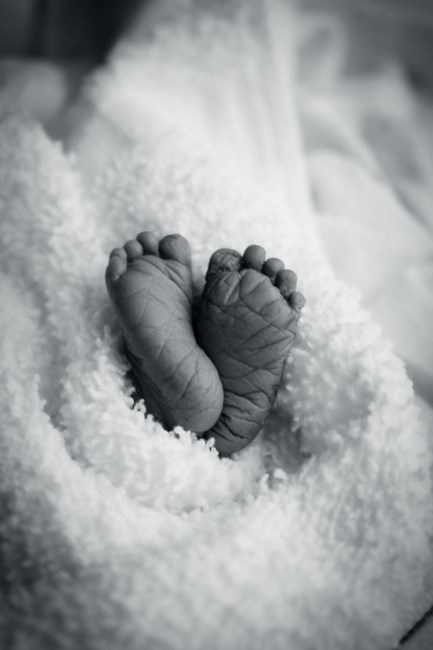 Obituary of Vivian Elouise Stout