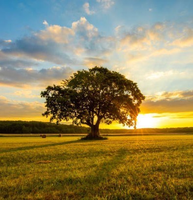 Obituario de Connie Sue Hale  Gallatin