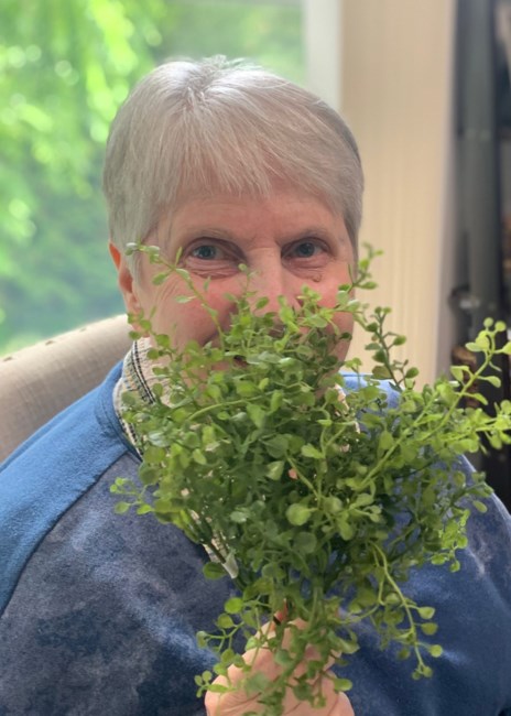 Obituary of Jeanne Wilkinson