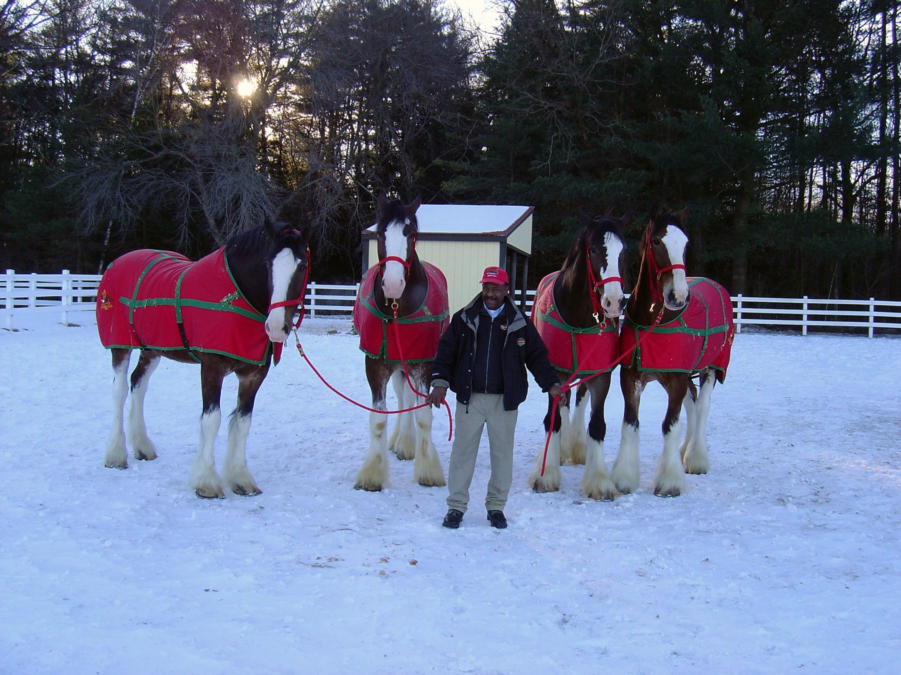 Obituary of Otis Crawford Ervin