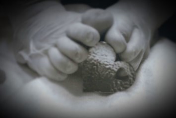 Obituary of Kairo Zhane (Reyna) Concepcion