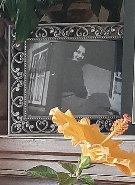 Obituary of Marilyn Gail Comer