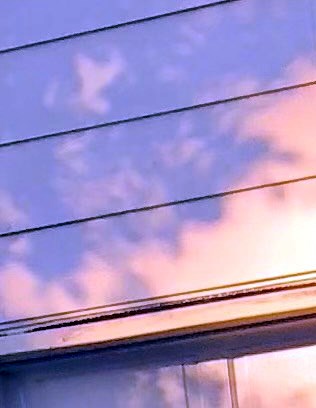 Donald Rice Obituary - Bryan, TX