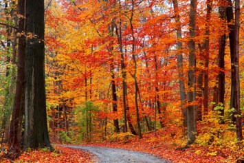 Obituary of James S Faulkner Sr