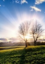 Obituary of Francis L. Crowley