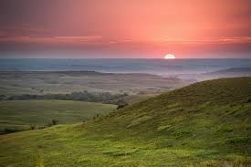 Obituary of Carolyn Jean (Calvin) Cox