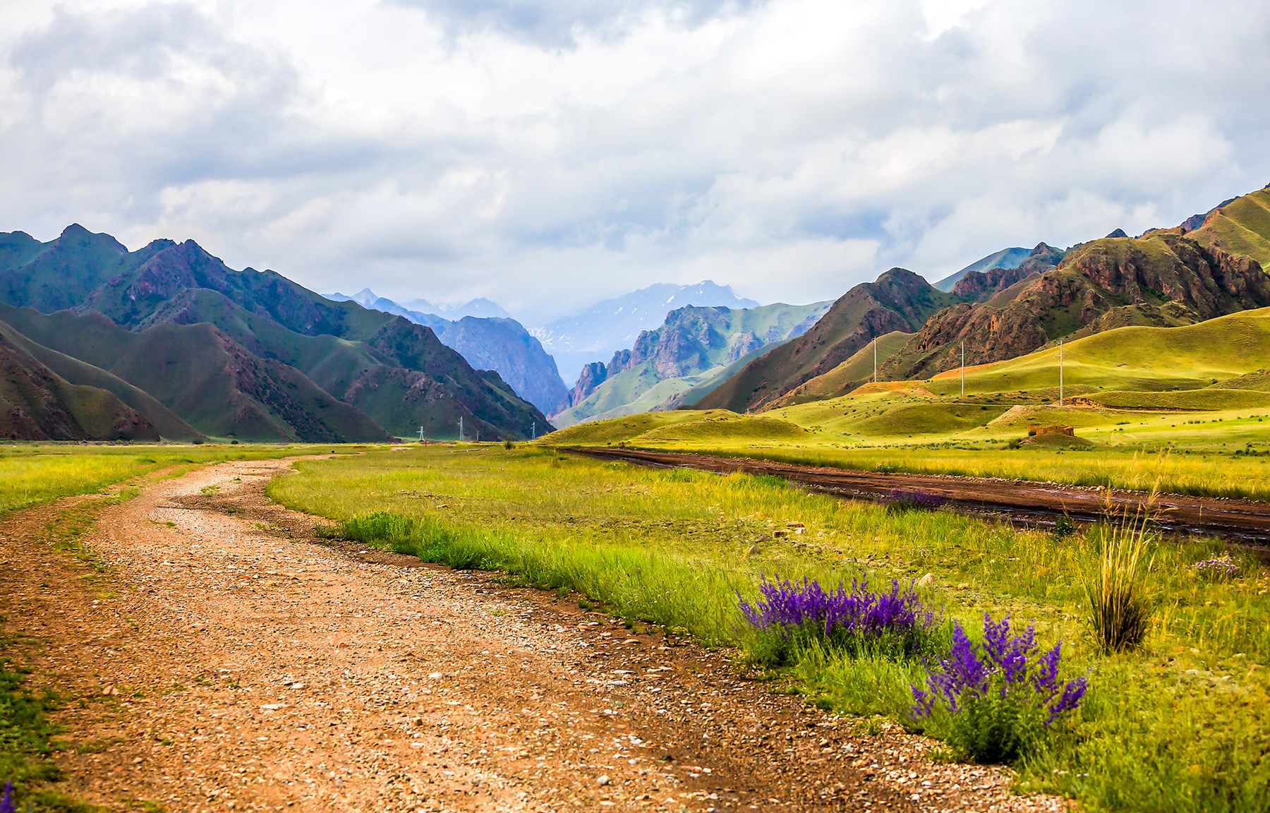 Obituary of Janice Cobb Juergens