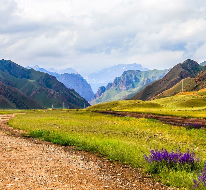 Obituary of Janice Cobb Juergens