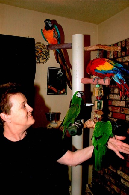 Obituary of Cynthia Ann Nall
