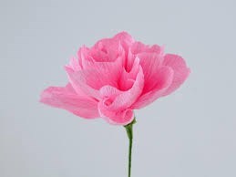 Obituary of Rowena Lou Judd