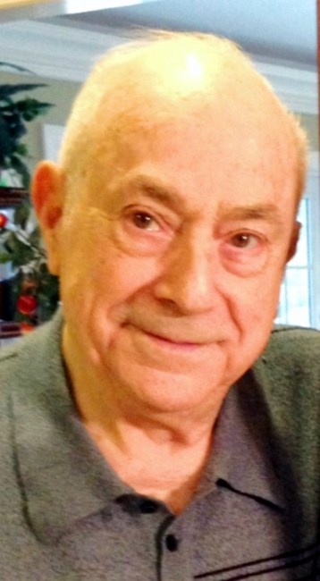 Obituary of Nicholas G. D'Agostaro