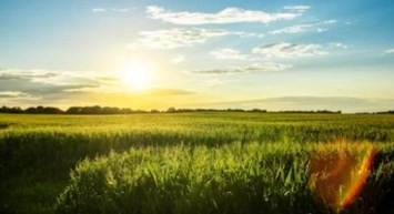 Obituary of William Michael Calder