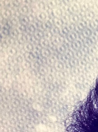 Brownsville Obituaries Last 3 Days