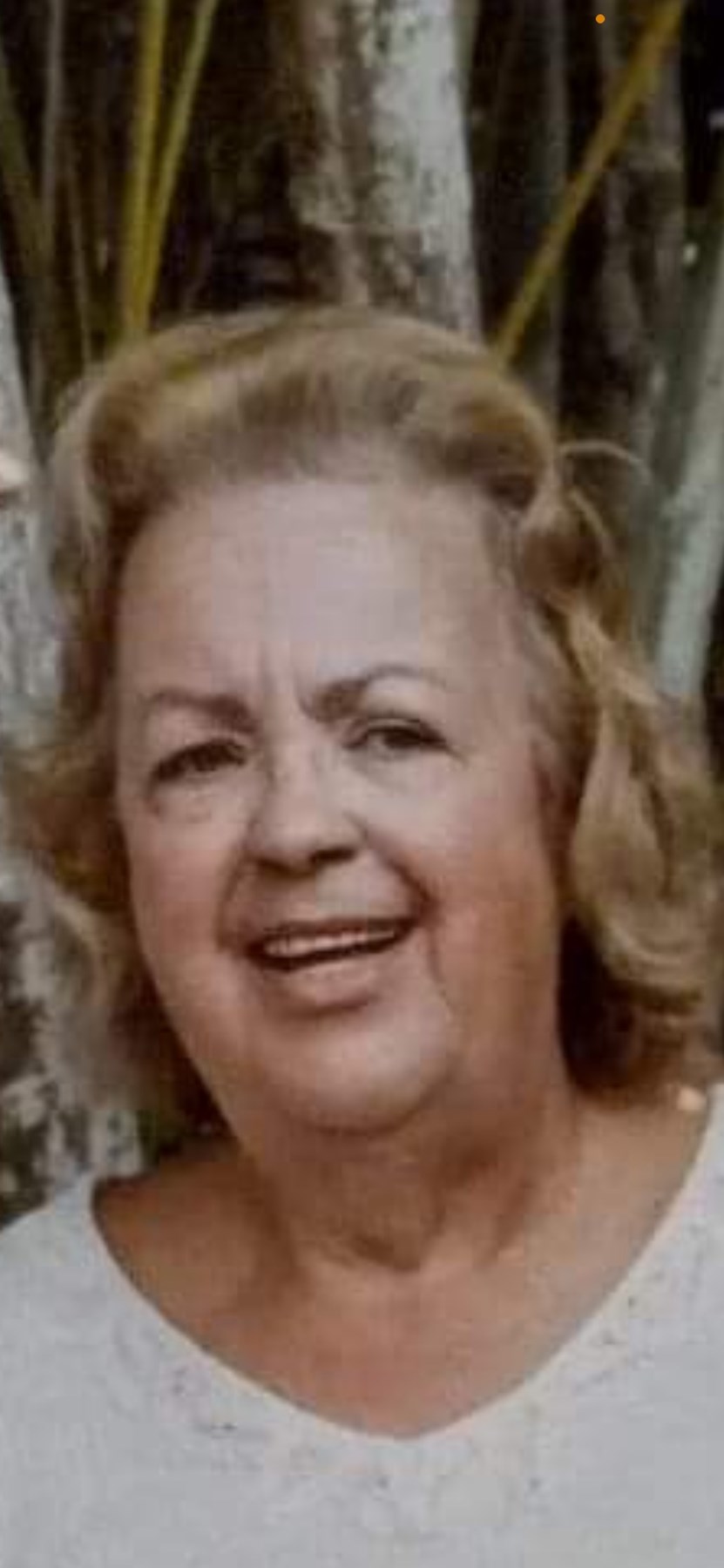 Obituary of Frances Sturgill Morgan