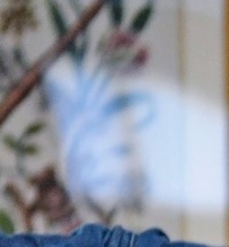 Phyllis Smith Obituary - Baton Rouge, LA